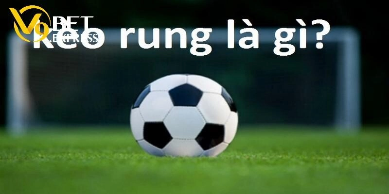 Giới thiệu sơ lược về loại kèo rung