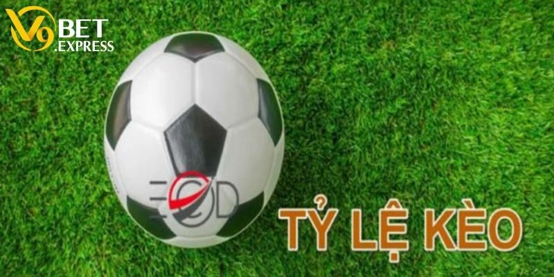 Thông tin chung liên quan tới tỷ lệ kèo